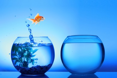 Image of Goldfish jumping out of glass bowl into another one against blue background