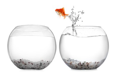Image of Goldfish jumping out of glass bowl into another one against white background