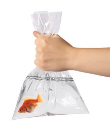 Image of Woman holding plastic bag with water and goldfish against white background, closeup