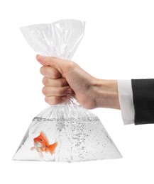 Image of Woman holding plastic bag with water and goldfish against white background, closeup