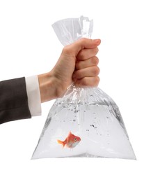 Image of Woman holding plastic bag with water and goldfish against white background, closeup