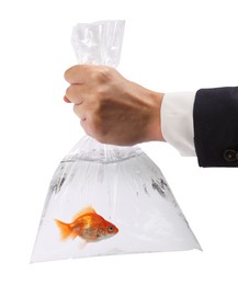 Image of Woman holding plastic bag with water and goldfish against white background, closeup