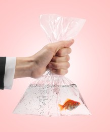 Image of Woman holding plastic bag with water and goldfish against pink background, closeup