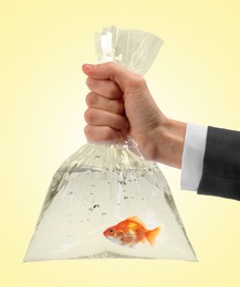Image of Woman holding plastic bag with water and goldfish against yellow background, closeup