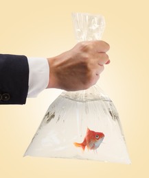 Image of Woman holding plastic bag with water and goldfish against pale orange background, closeup