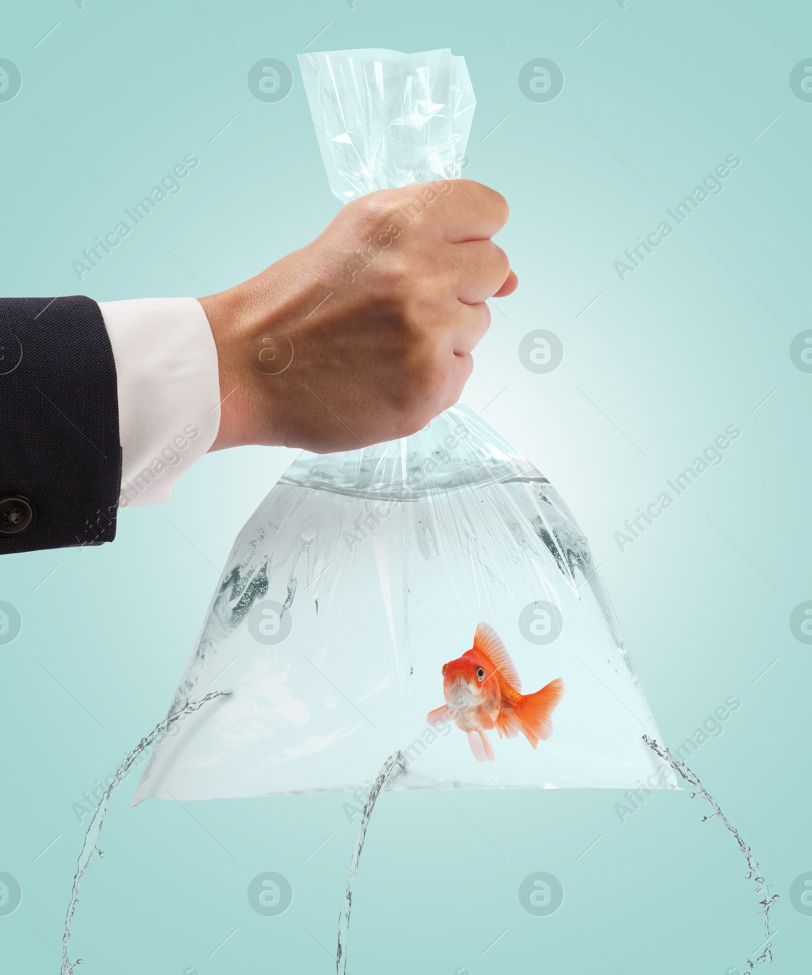 Image of Woman holding leaking plastic bag with goldfish against light blue background, closeup. Water flowing out of holes