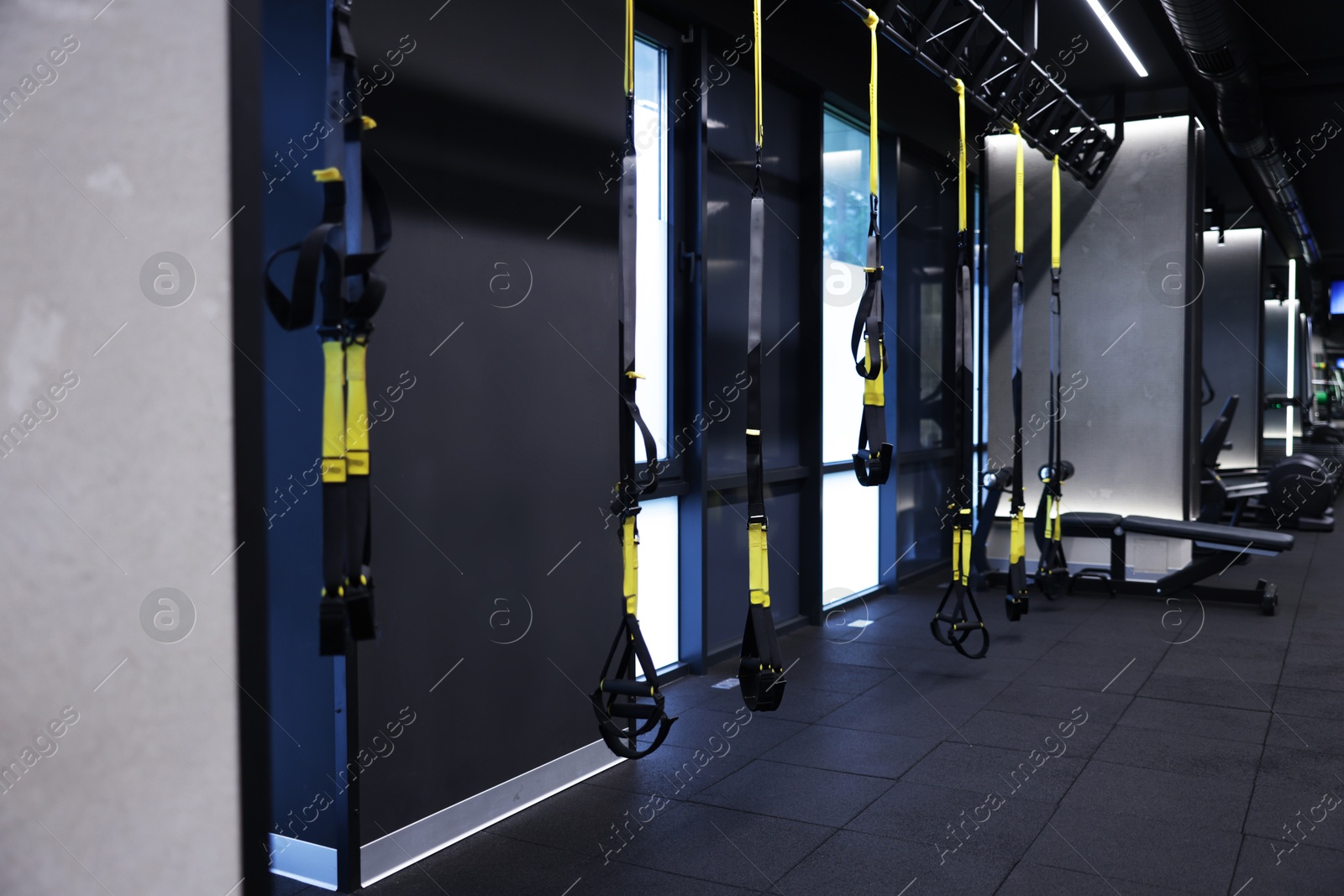 Professional suspension trainers in modern gym. Healthy lifestyle Photo of Professional suspension trainers in modern gym. Healthy lifestyle