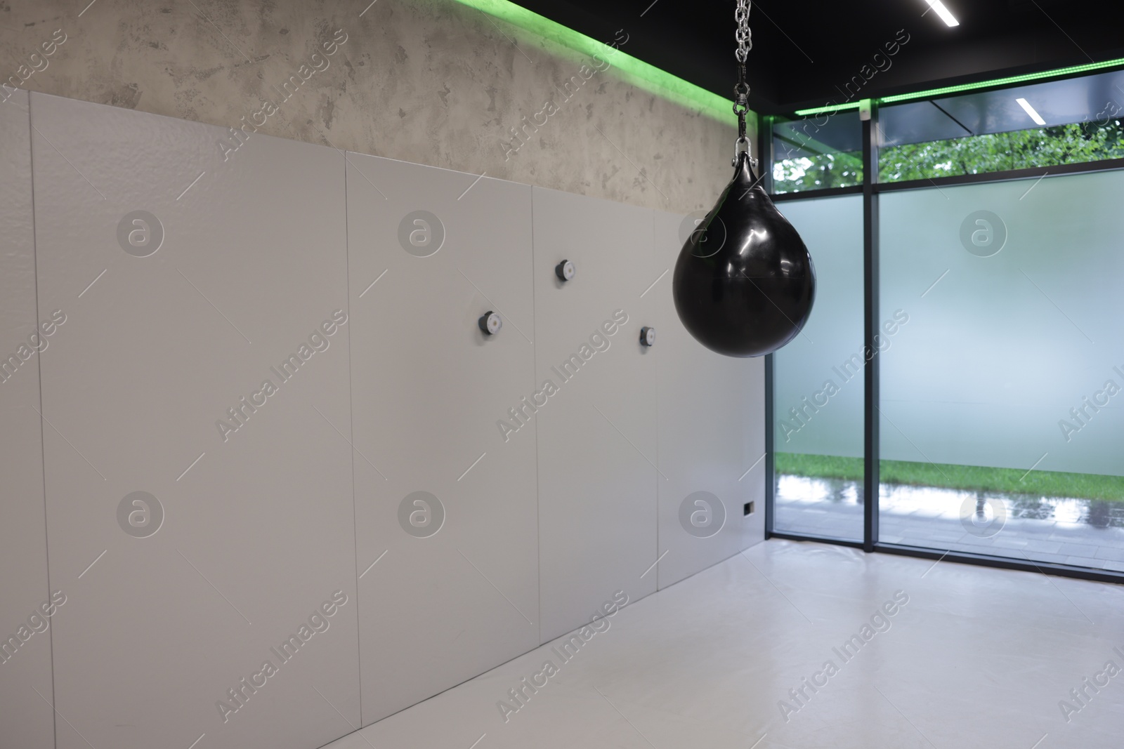 Professional punching bag in gym, space for text. Boxing equipment Photo of Professional punching bag in gym, space for text. Boxing equipment