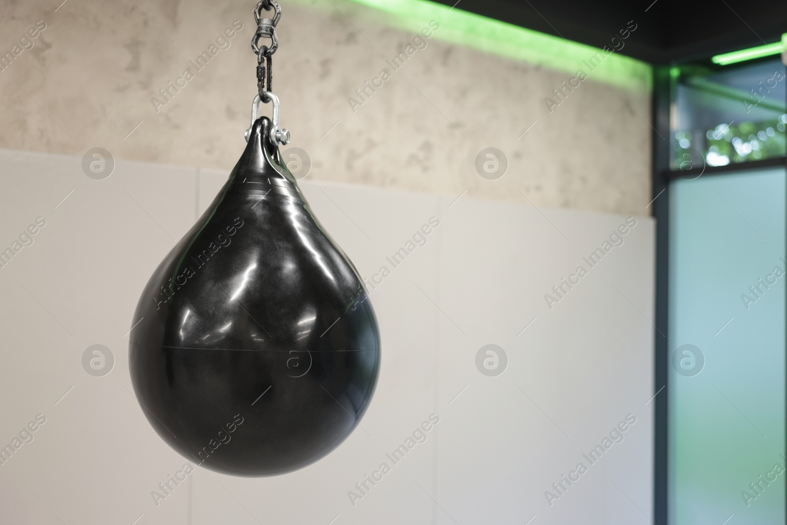 Professional punching bag in gym, space for text. Boxing equipment Photo of Professional punching bag in gym, space for text. Boxing equipment