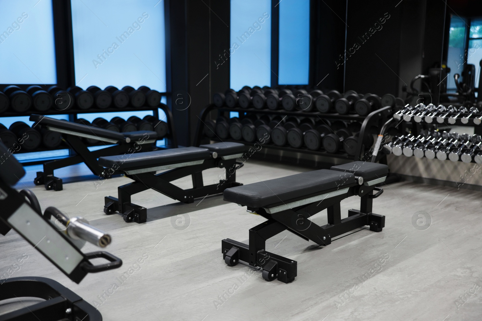 Dumbbells and other equipment in professional gym Photo of Dumbbells and other equipment in professional gym