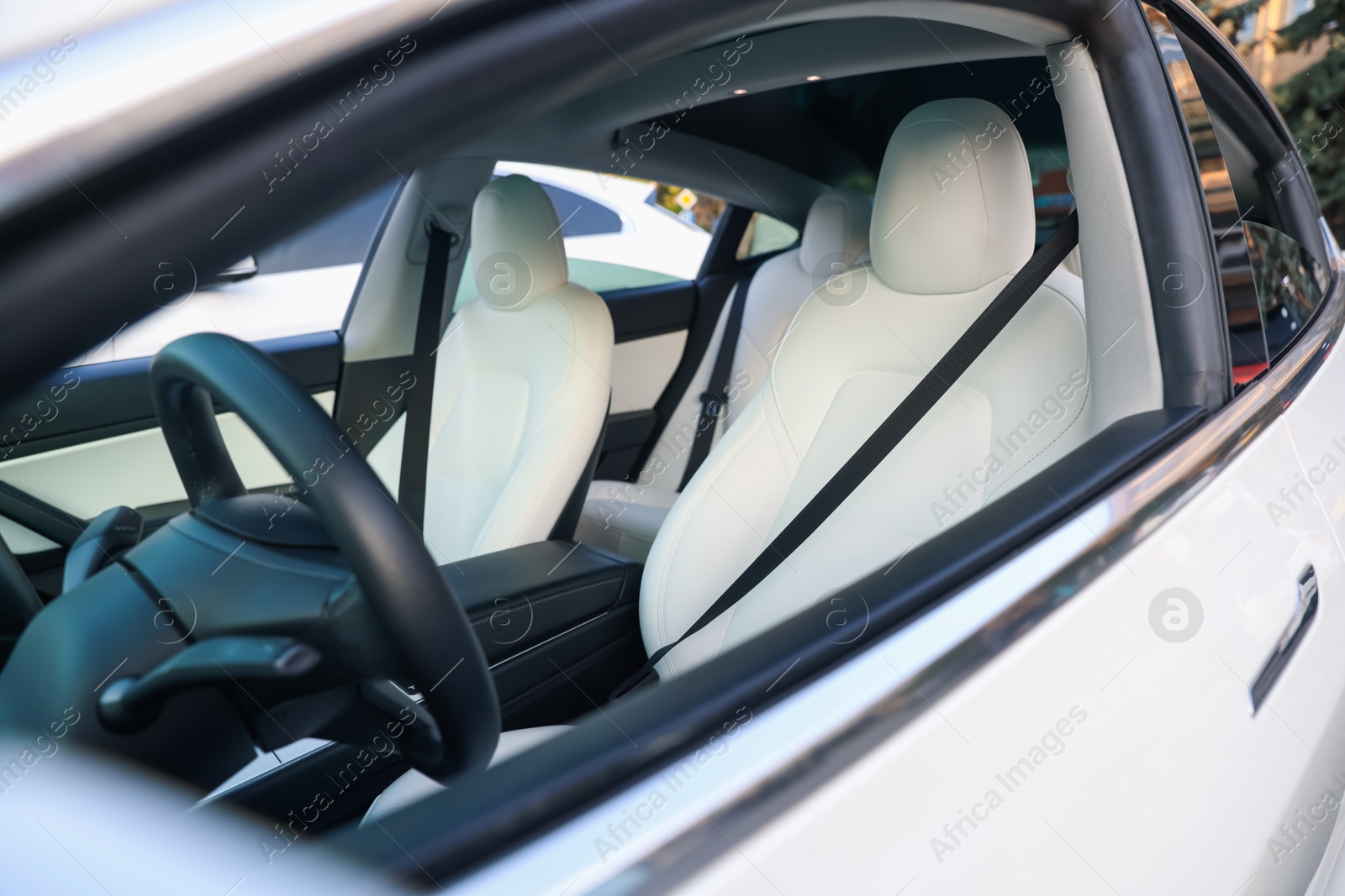 Modern car interior with seats and safety belts, view from outside Photo of Modern car interior with seats and safety belts, view from outside