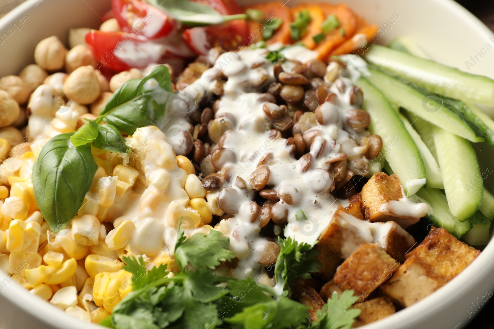 Healthy vegetarian food. Delicious Buddha bowl lentils, tofu, chickpeas, vegetables and sauce as background, closeup Photo of Healthy vegetarian food. Delicious Buddha bowl lentils, tofu, chickpeas, vegetables and sauce as background, closeup