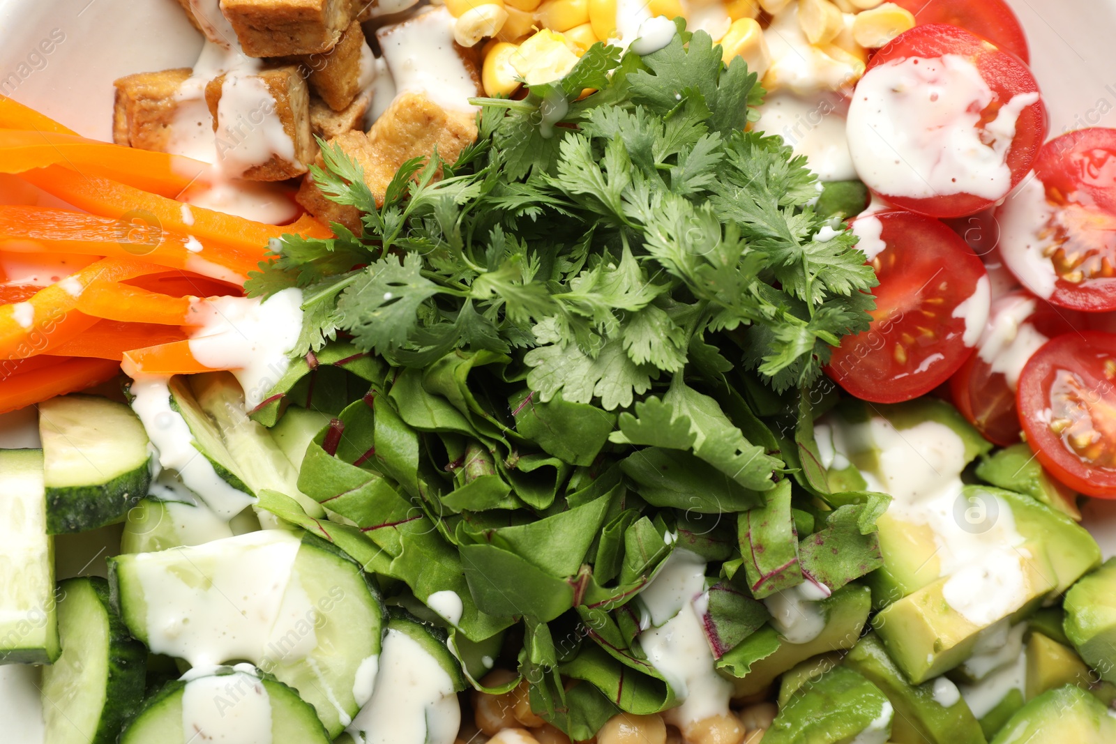 Different healthy vegetarian food on plate, top view Photo of Different healthy vegetarian food on plate, top view