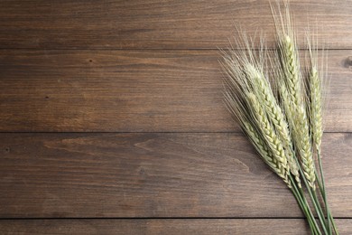 Photo of Green wheat spikes on wooden table, flat lay. Space for text