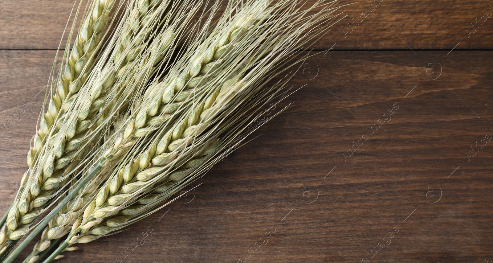 Photo of Green wheat spikes on wooden table, top view. Space for text