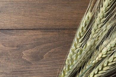 Photo of Green wheat spikes on wooden table, top view. Space for text