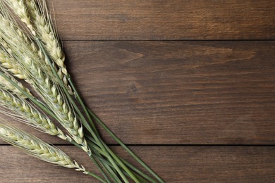 Photo of Green wheat spikes on wooden table, flat lay. Space for text