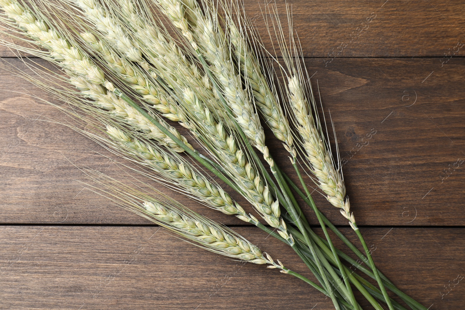 Green wheat spikes on wooden table, flat lay Photo of Green wheat spikes on wooden table, flat lay