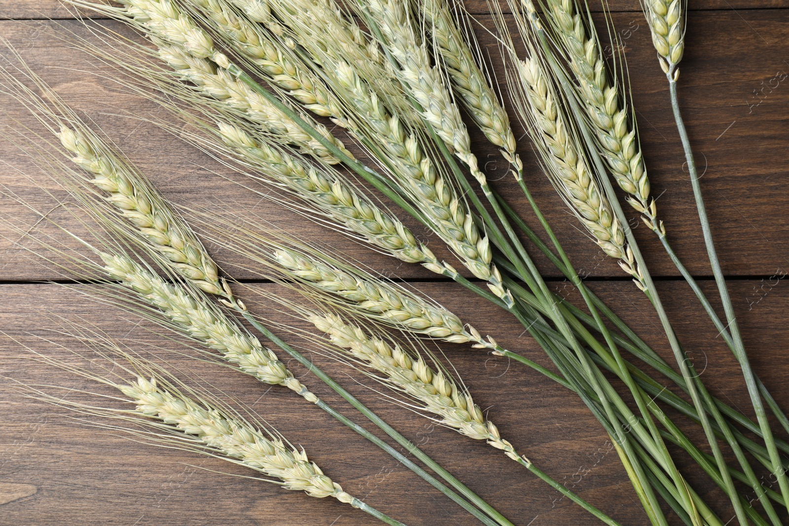 Photo of Green wheat spikes on wooden table, flat lay