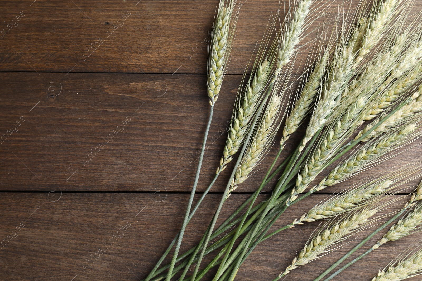 Photo of Green wheat spikes on wooden table, flat lay. Space for text