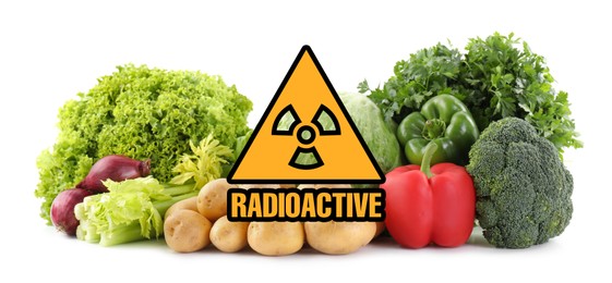 Image of Fresh vegetables and radioactive sign on white background. Environmental contamination, polluted food