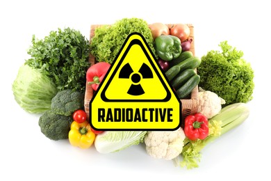 Image of Fresh vegetables and radioactive sign on white background. Environmental contamination, polluted food