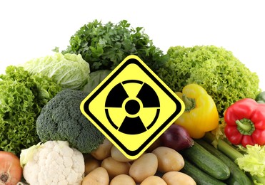 Image of Fresh vegetables and radioactive sign on white background. Environmental contamination, polluted food