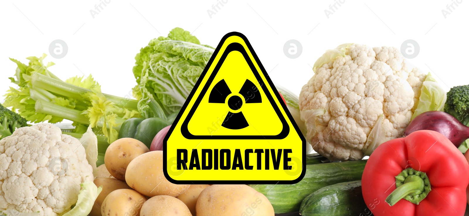 Image of Fresh vegetables and radioactive sign on white background. Environmental contamination, polluted food