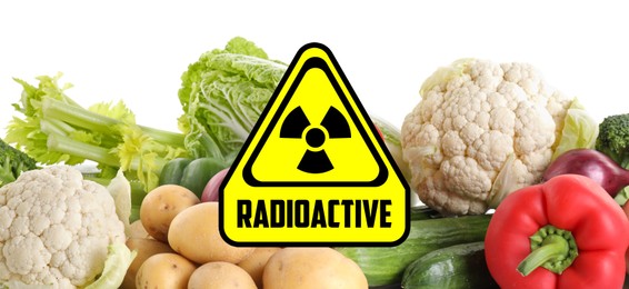 Image of Fresh vegetables and radioactive sign on white background. Environmental contamination, polluted food
