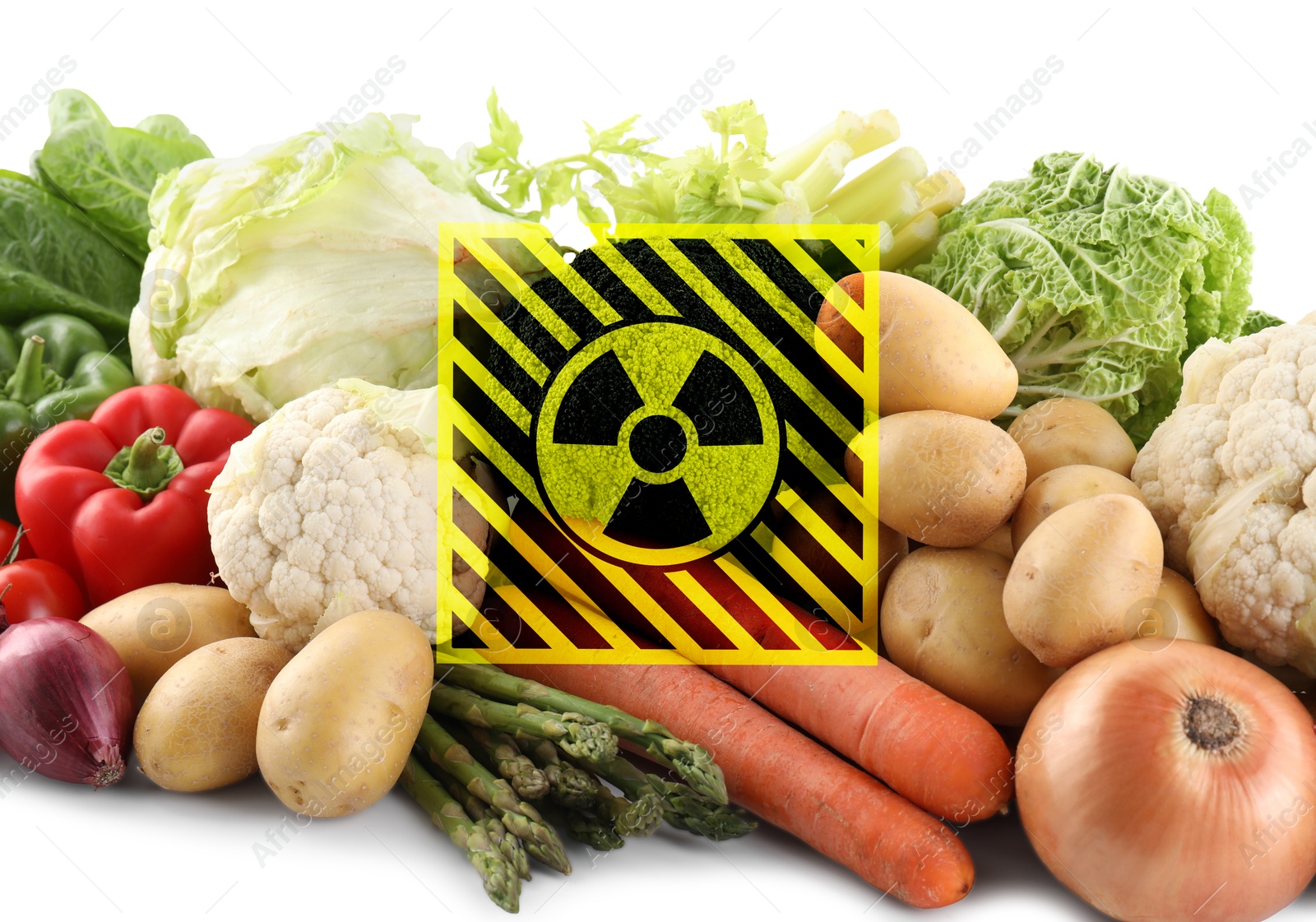 Image of Fresh vegetables and radioactive sign on white background. Environmental contamination, polluted food