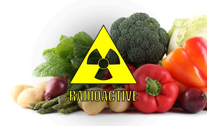 Image of Fresh vegetables and radioactive sign on white background. Environmental contamination, polluted food