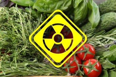 Image of Fresh vegetables, herbs and radioactive sign. Environmental contamination, polluted food