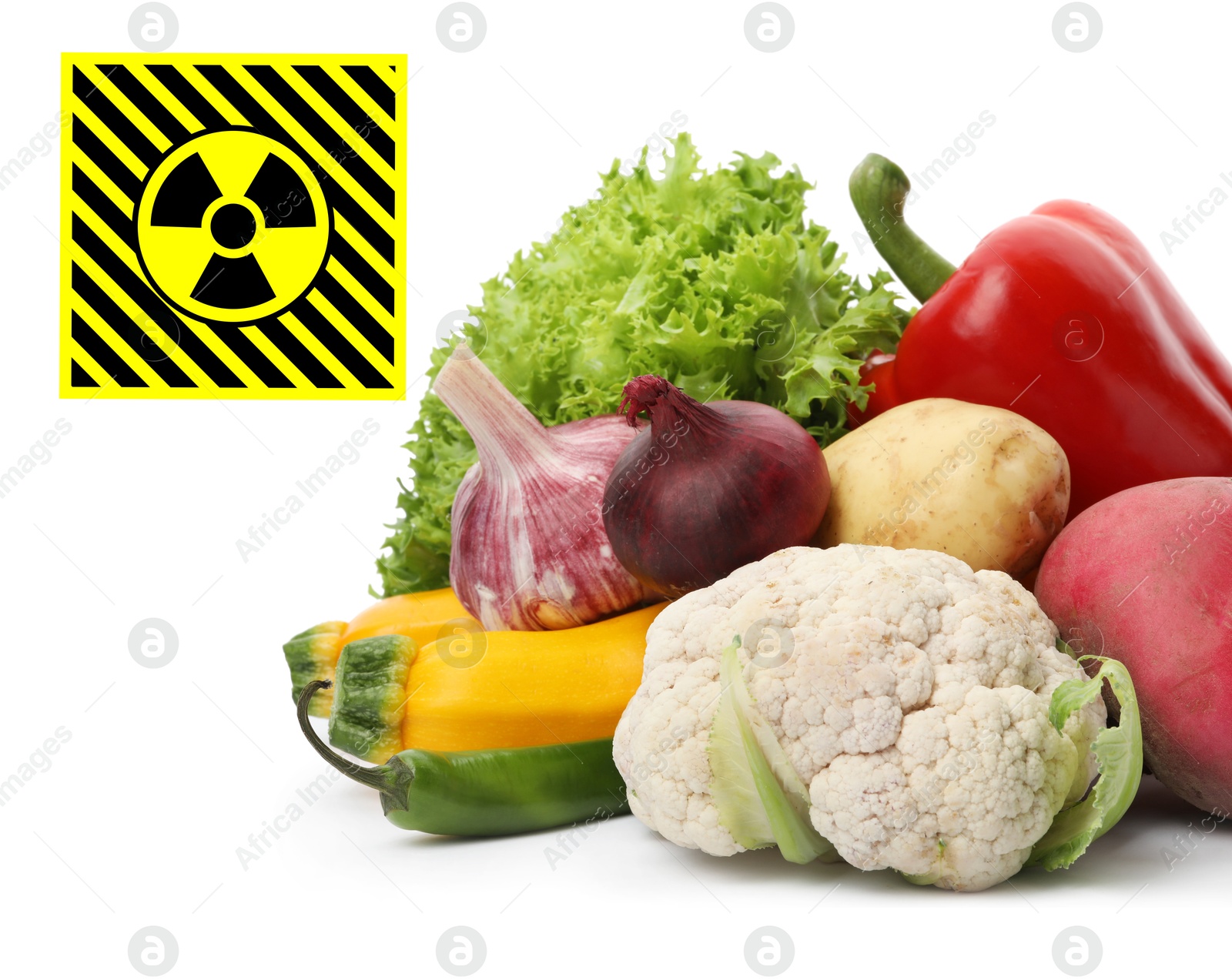Image of Fresh vegetables and radioactive sign on white background. Environmental contamination, polluted food