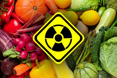 Image of Fresh vegetables and radioactive sign. Environmental contamination, polluted food