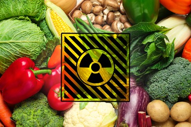 Image of Fresh vegetables and radioactive sign. Environmental contamination, polluted food