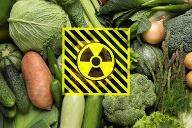 Image of Fresh vegetables and radioactive sign. Environmental contamination, polluted food