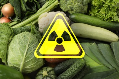 Image of Fresh vegetables and radioactive sign. Environmental contamination, polluted food