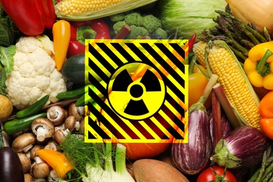 Image of Fresh vegetables and radioactive sign. Environmental contamination, polluted food