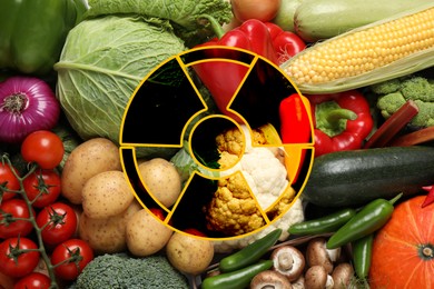 Image of Fresh vegetables and radioactive sign. Environmental contamination, polluted food