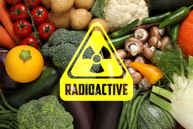 Image of Fresh vegetables and radioactive sign. Environmental contamination, polluted food
