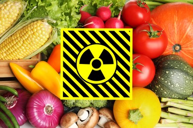 Image of Fresh vegetables and radioactive sign. Environmental contamination, polluted food