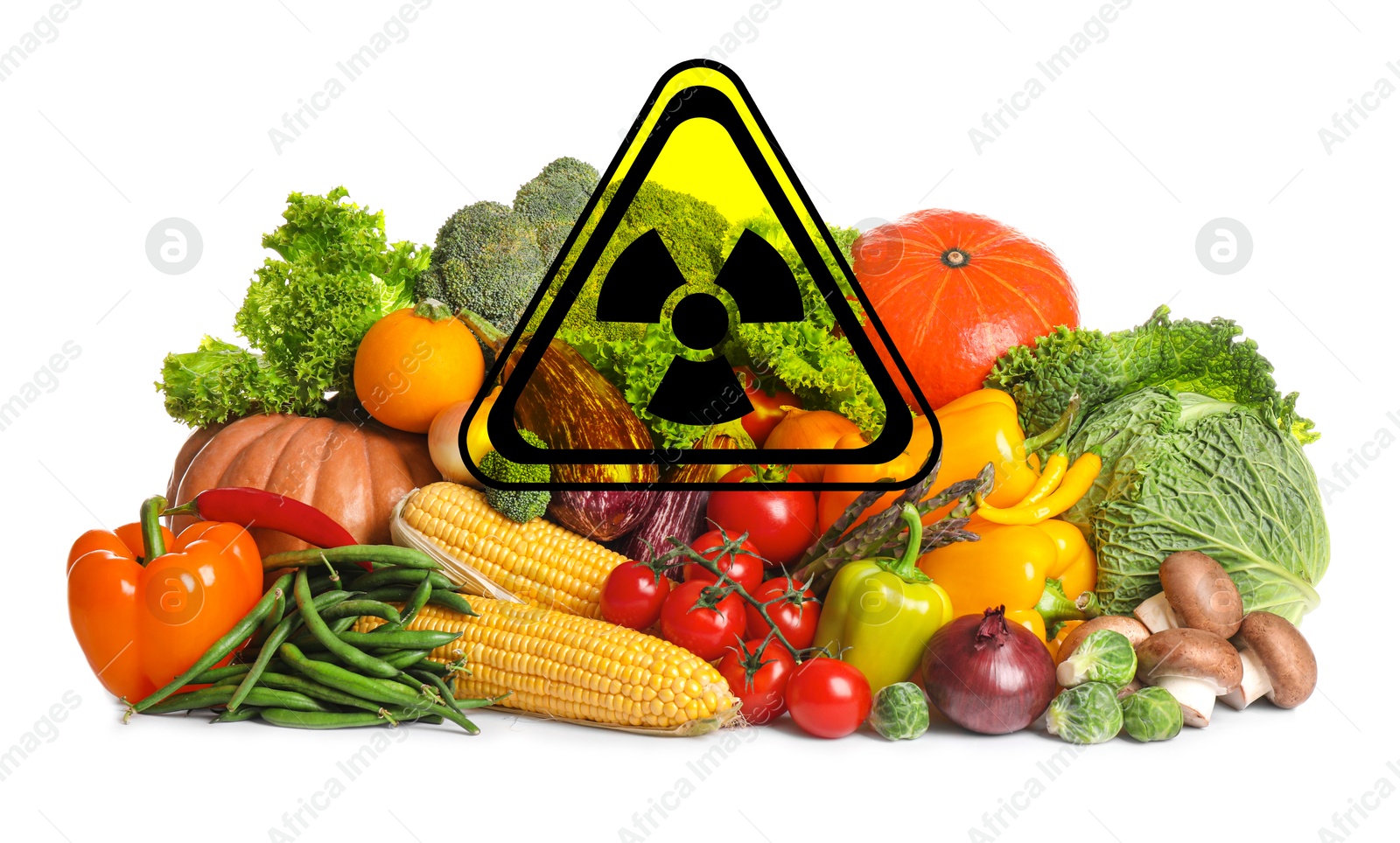 Image of Fresh vegetables and radioactive sign on white background. Environmental contamination, polluted food