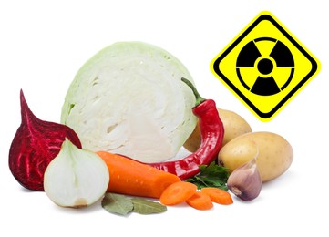 Image of Fresh vegetables and radioactive sign on white background. Environmental contamination, polluted food
