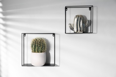 Photo of Metal shelves with potted and decorative cacti on white background