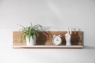 Photo of Wooden shelf with houseplant and decor on white background