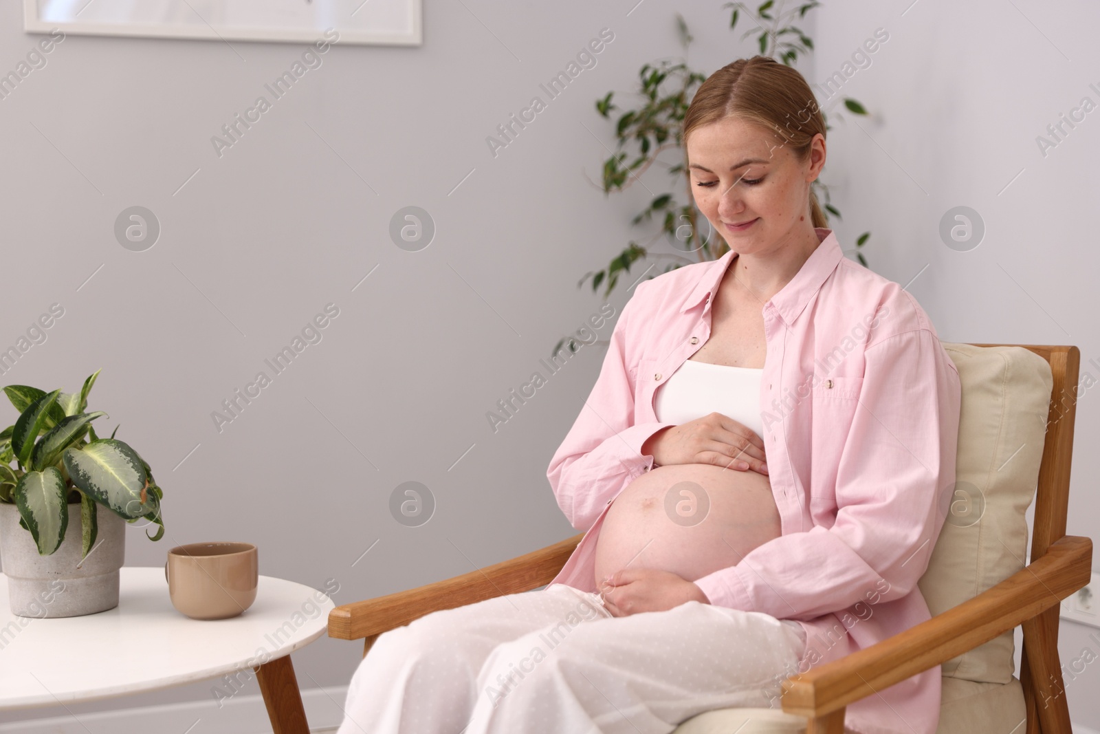 Beautiful pregnant woman in armchair at home. Space for text Photo of Beautiful pregnant woman in armchair at home. Space for text