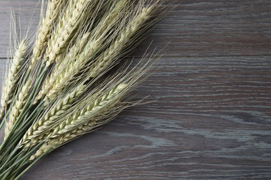 Photo of Green wheat spikes on wooden table, flat lay. Space for text