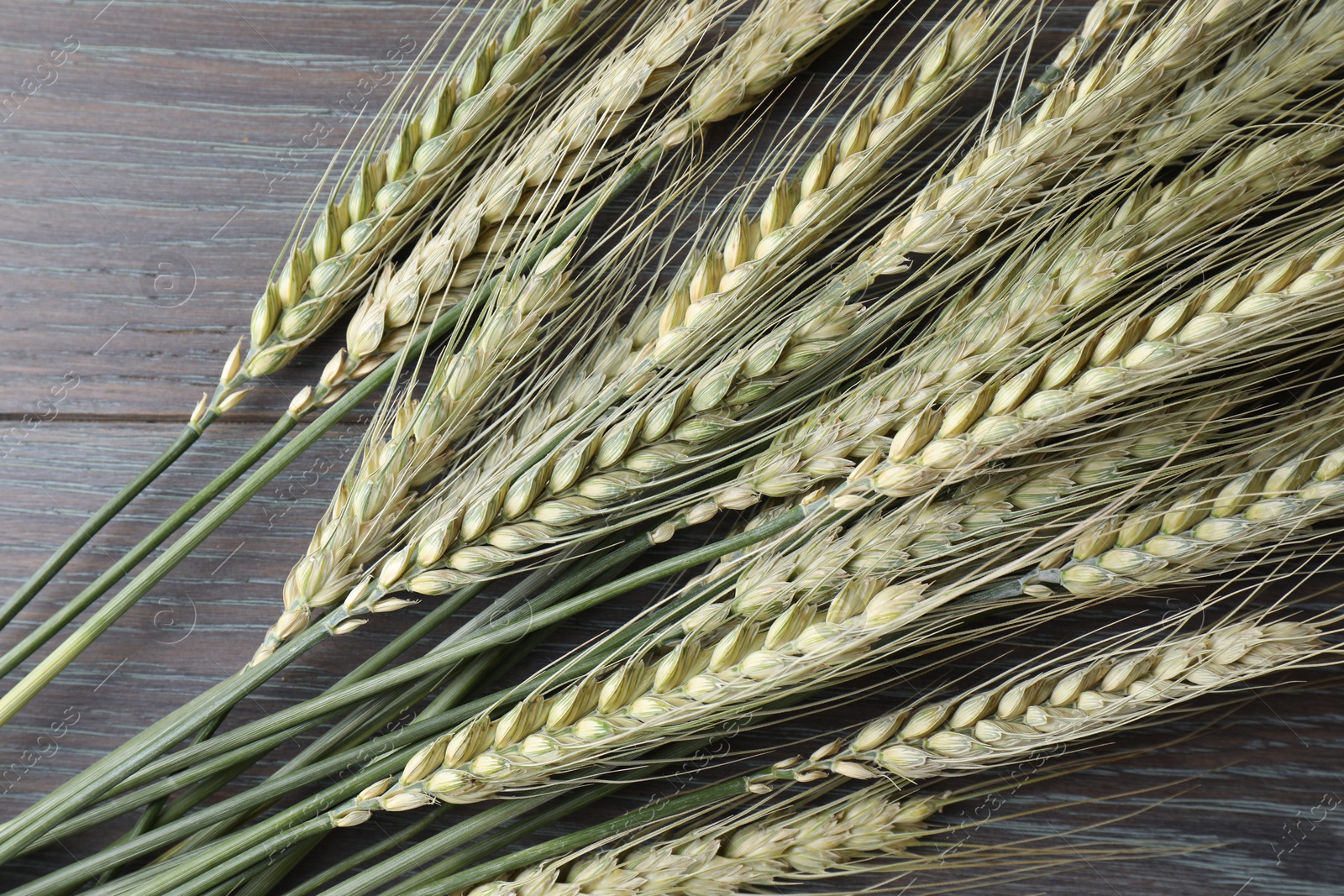 Photo of Green wheat spikes on wooden table, above view
