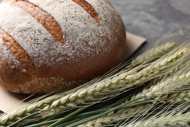 Photo of Fresh bread and green wheat spikes on grey table, closeup