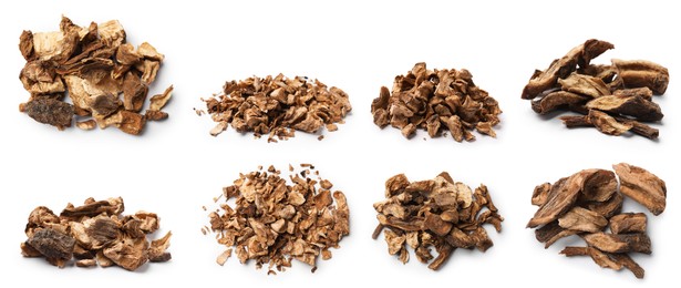 Image of Chicory. Dry pieces of root isolated on white, set. Top and side view